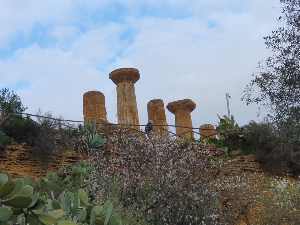 Valle_dei _Templi_Sicily_italytravelaccomodationscom_14