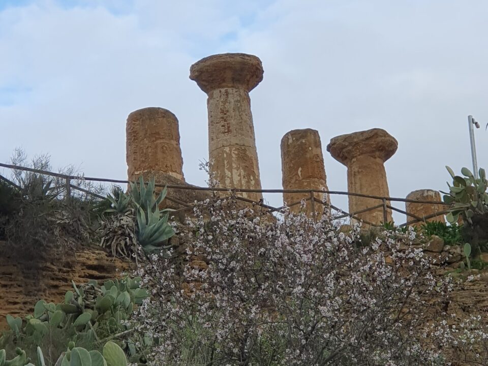 Valle_dei _Templi_Sicily_italytravelaccomodationscom_7