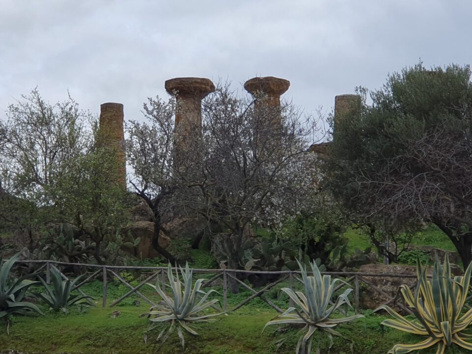 Valle_dei _Templi_Sicily_italytravelaccomodationscom_9